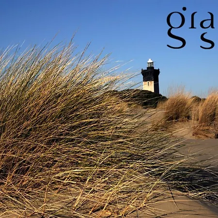 Les Pieds Dans Le Sable Appartement Vue Mer 1 Chambre 1 Cabine Le Grau-du-Roi Esterno foto